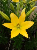 [5047 Cevennes No02.JPG]